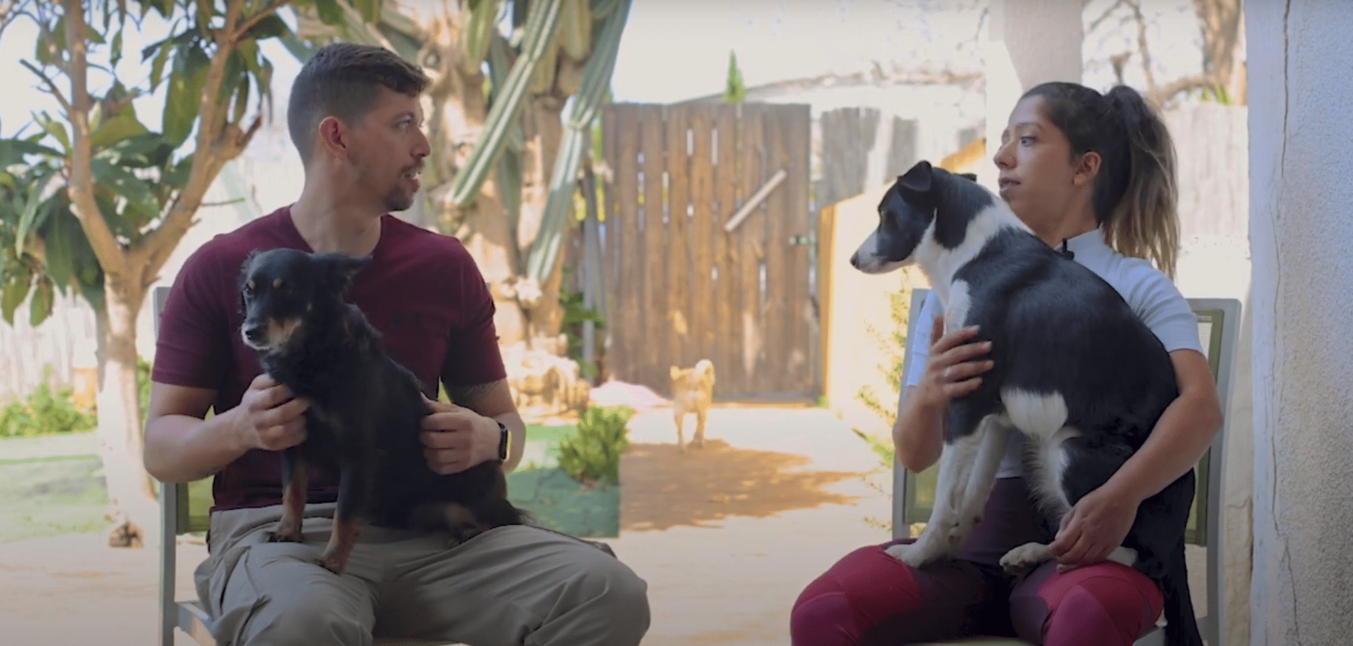 בקצב הכלב (פרק 2) - נינג׳ה לכלבים עם ניקול סמילה